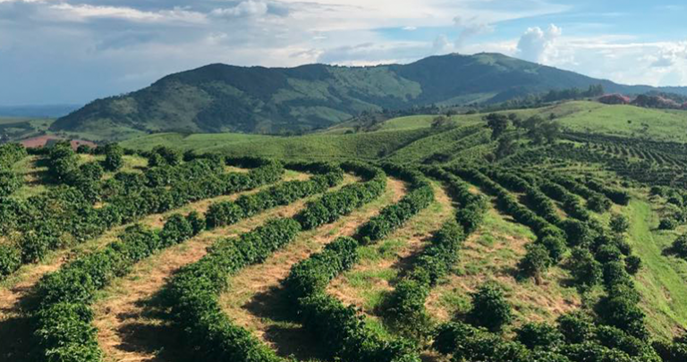 Inizia il tuo viaggio nel caffè